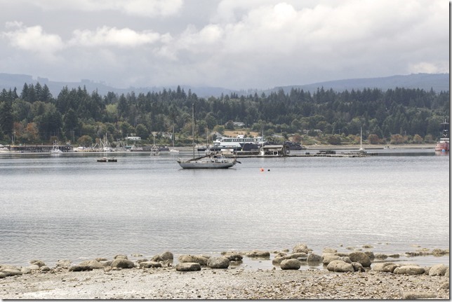 Ship&rsquo;s Point,Fanny Bay,ships,ocean,beach,Baynes Sound