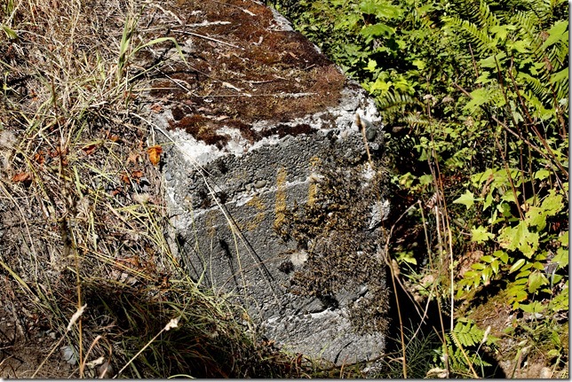 E&N, rail, rail road, rail way,Vancouver Island,bridge,Union Bay E&N, rail, rail road, rail way,Vancouver Island,bridge,Union Bay