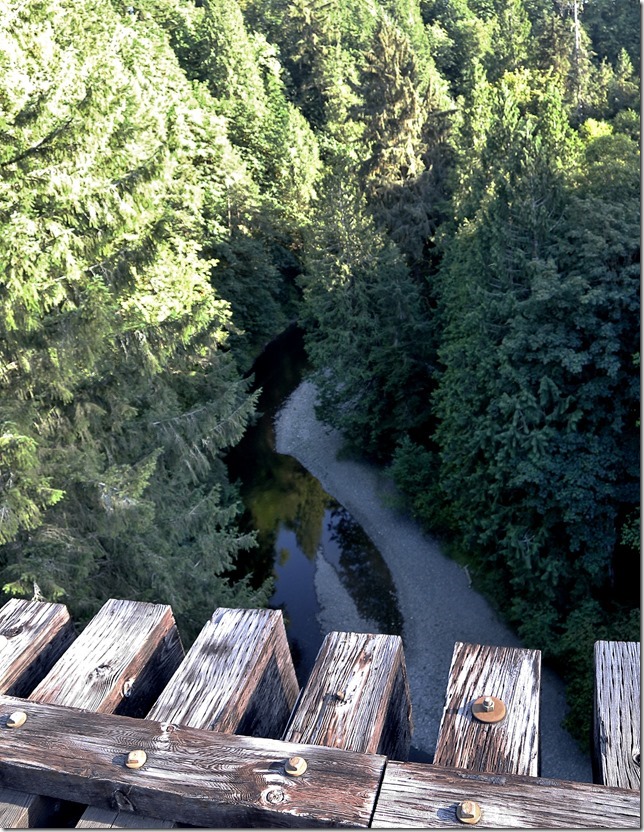 E&N, rail, rail road, rail way,Vancouver Island,bridge