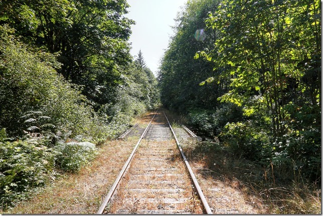 E&N, rail, rail road, rail way,Vancouver Island,bridge