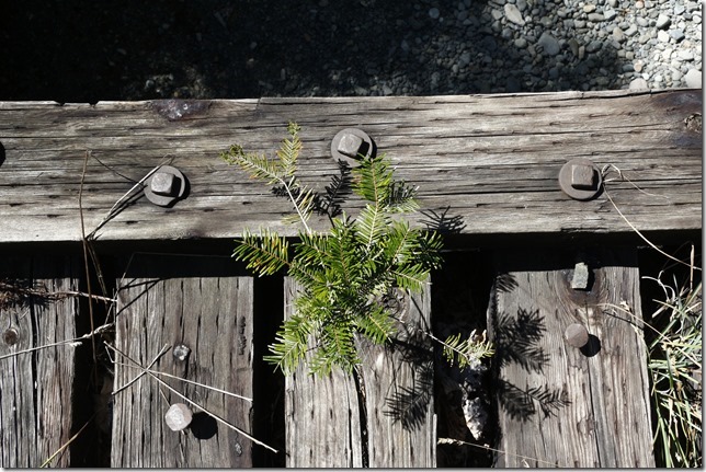 rail,trains,E & N Railway,history,The train don&rsquo;t run here anymore