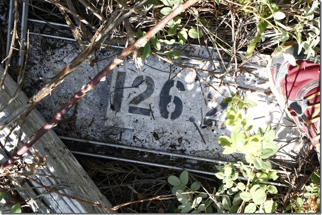 E&N, rail, rail road, rail way,Vancouver Island,Buckley Bay