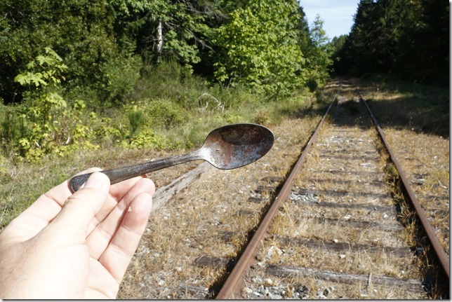 E&N, rail, rail road, rail way,Vancouver Island