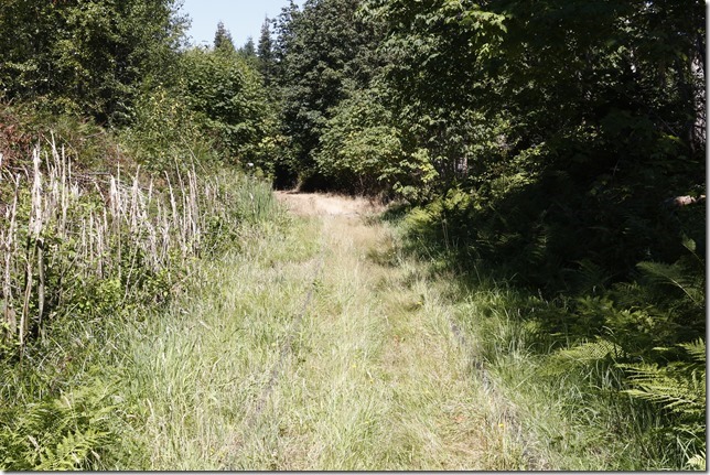 E&N, rail, rail road, rail way,Vancouver Island