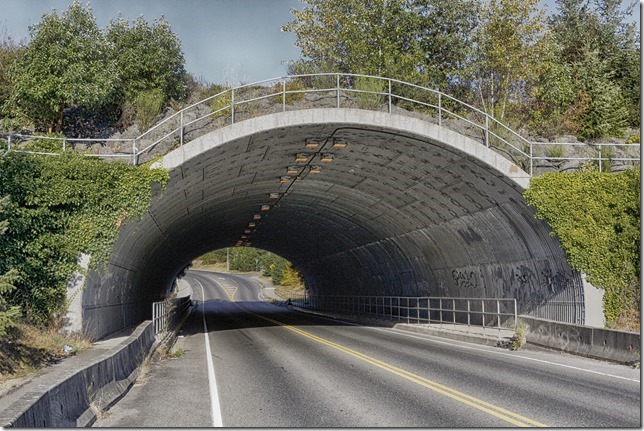 Nanaimo,bridge,Highway 19