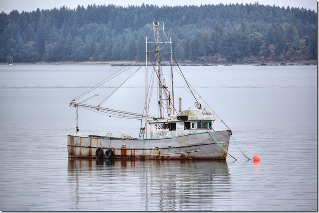Baynes Sound,Highway 19A,ocean,Oyster boats,ships,fish boat,Union Bay