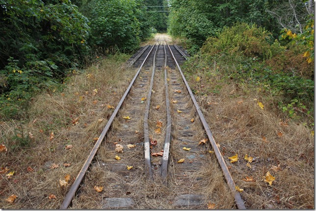E&N, rail, rail road, rail way,Vancouver Island,bridge,Nanoose