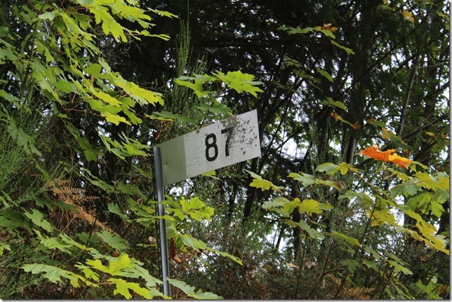 E&N, rail, rail road, rail way,Vancouver Island