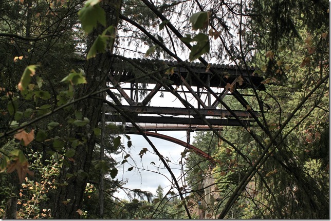 bungy jump,E&N, rail, rail road, rail way,Vancouver Island,bridge