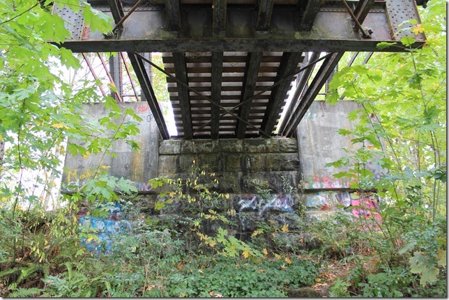 E&N, rail, rail road, rail way,Vancouver Island,bridge,Duncan,Cowichan River
