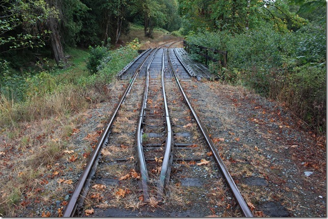 E&N, rail, rail road, rail way,Vancouver Island,Koksilah River overflow channel