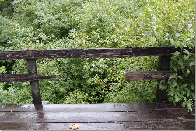 E&N, rail, rail road, rail way,Vancouver Island,Koksilah River overflow channel