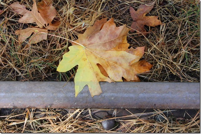 rail,trains,E & N Railway,history,The train don&rsquo;t run here anymore