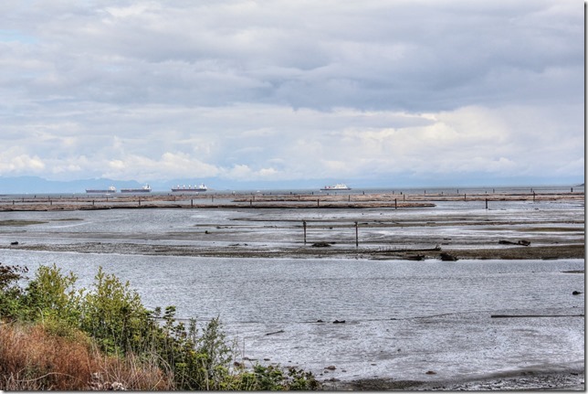 Nanaimo,Chase River,ocean,nature