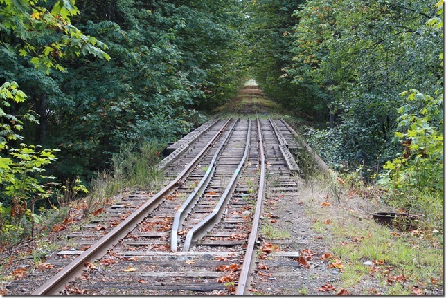 E&N, rail, rail road, rail way,Vancouver Island,bridge