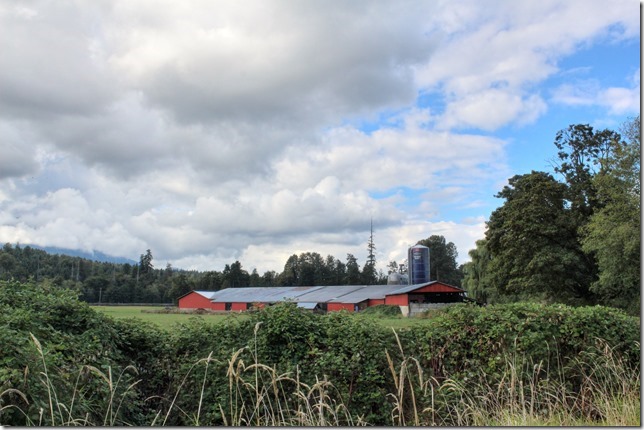 nature,farm,Cowichan Valley,barn,farming,clouds,stormy day