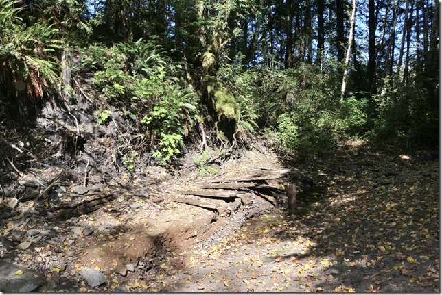 Cumberland,river,nature,Comox Lake,hiking,bridge