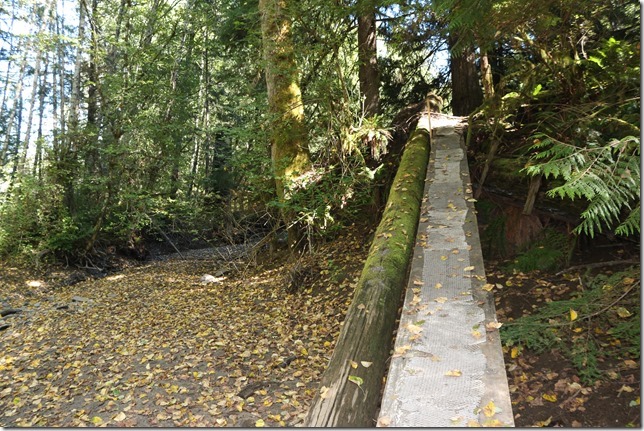 Cumberland,river,nature,Comox Lake,hiking,bridge