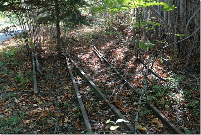 rail,trains,Ladysmith,Highway 1,E & N Railway,history,The train don&rsquo;t run here anymore