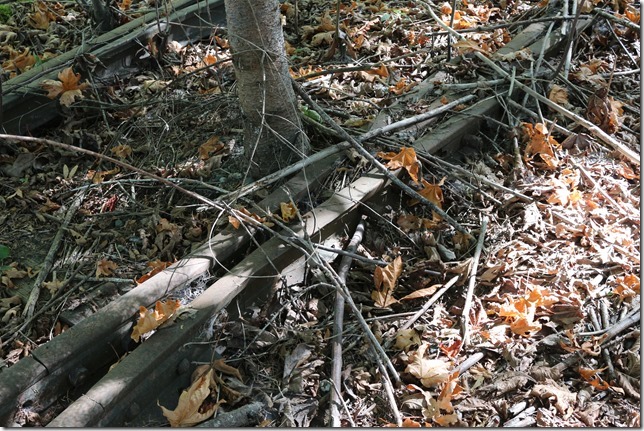 rail,trains,Ladysmith,Highway 1,E & N Railway,history,The train don&rsquo;t run here anymore