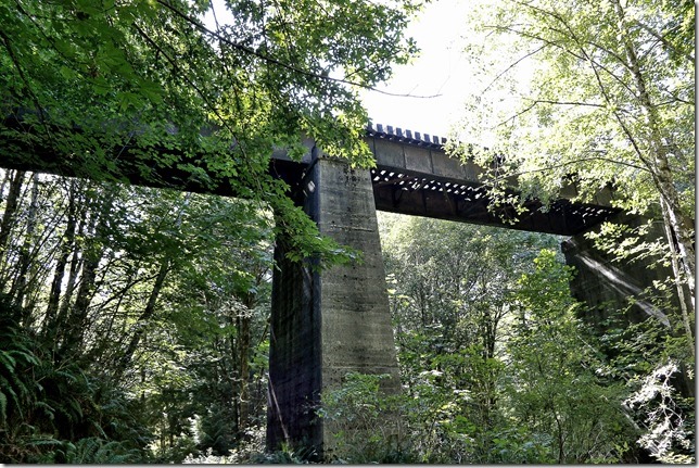 E&N, rail, rail road, rail way,Vancouver Island,bridge
