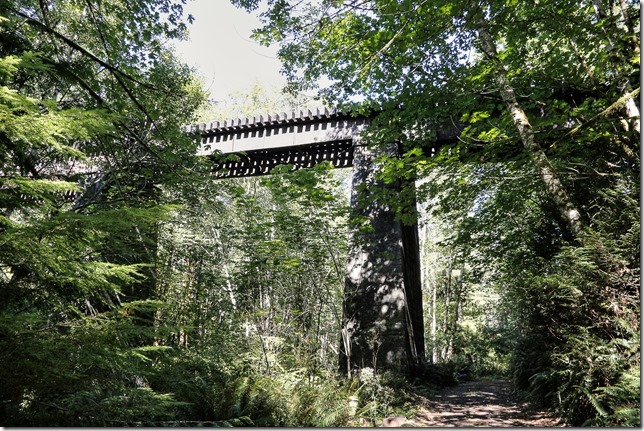 E&N, rail, rail road, rail way,Vancouver Island,bridge