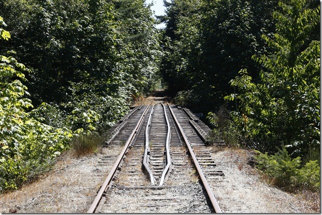 E&N, rail, rail road, rail way,Vancouver Island,bridge