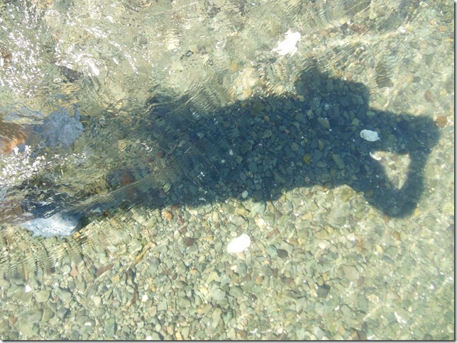 ocean,beach,Royston,nature