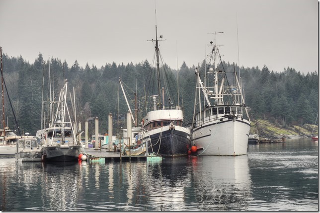 Quadra Island,Heriot Bay,Gulf Islands,fish boat,ships,marina,ocean