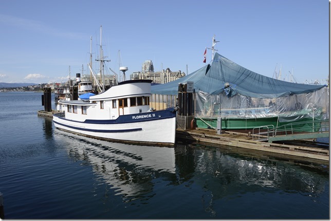 ships,James Bay, ocean, Victoria,summer,Florence II