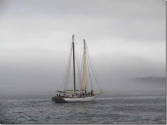 Bay of Fundy,New Brunswick,ships,tourism,ocean,Ada C. Lore