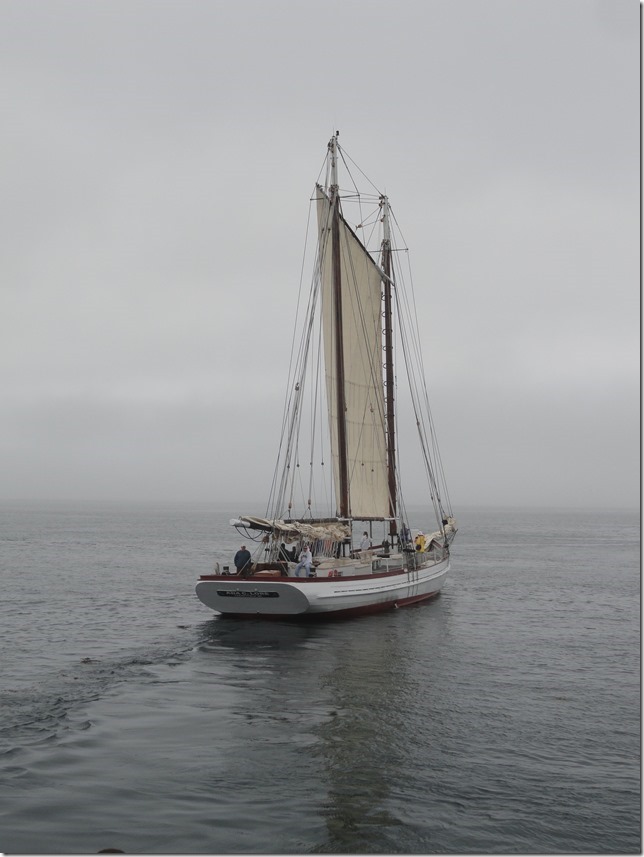 Bay of Fundy,New Brunswick,ships,tourism,ocean,Ada C. Lore