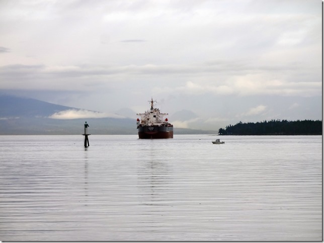 ocean,ships,Nanaimo,Georgia Strait,logs,exports