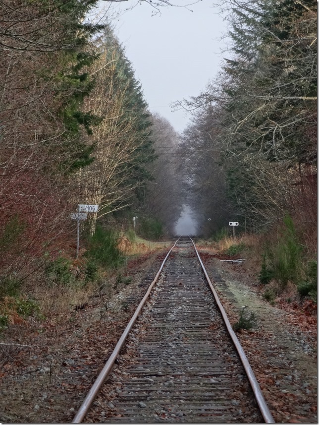 E&N, rail, rail road, rail way,Vancouver Island