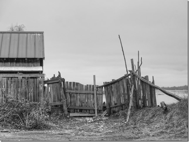 Courtenay River,still life
