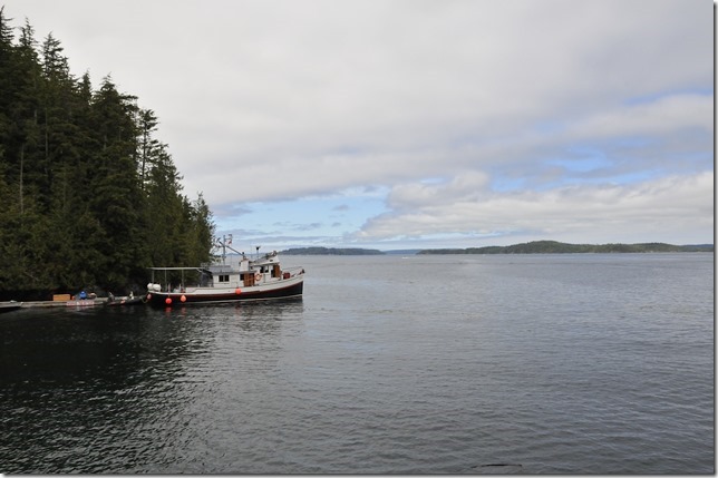 North Island,ships,ocean,marina,Telegraph Cove,whale watching,Gikumi
