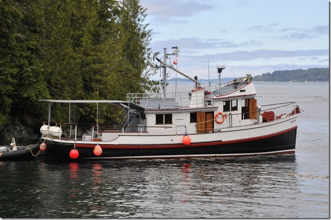 North Island,ships,ocean,marina,Telegraph Cove,whale watching,Gikumi