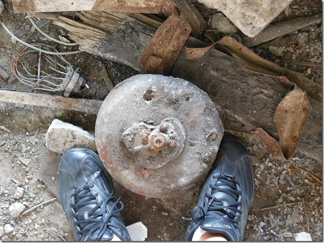 life,nature,exploring,photography,Forbidden Plateau