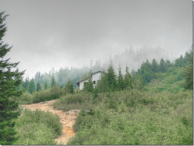 mountain,Forbidden Plateau,nature,hiking