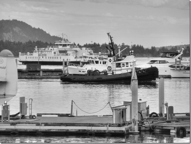 Nanaimo,ocean,marina,Cameron Island Marina,ships,BC Ferries,tug boat,fish boat