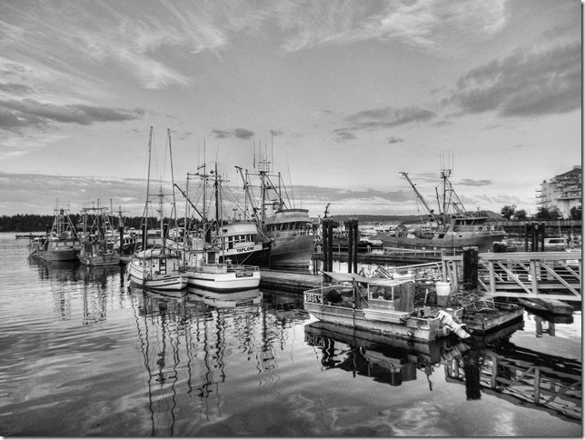 Nanaimo,ocean,marina,Cameron Island Marina,ships,BC Ferries,tug boat,fish boat