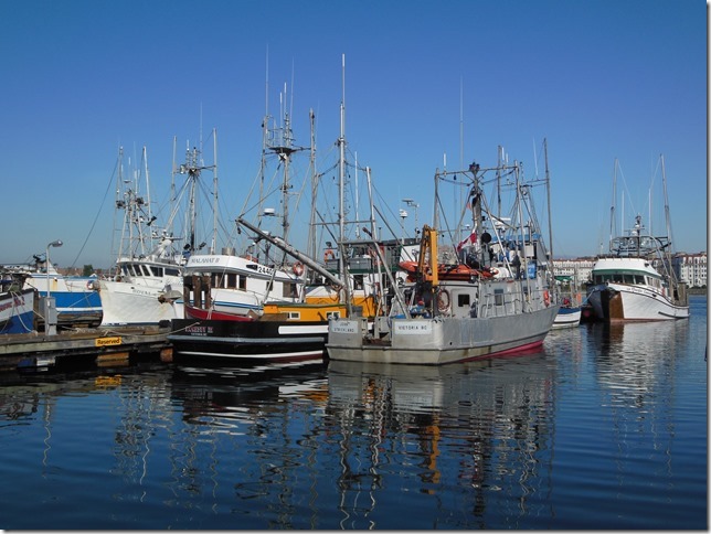 Victoria,Fisherman's wharf,fish boat,ships,marina,James Bay