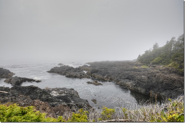 ocean,Ucluelet,hiking,nature