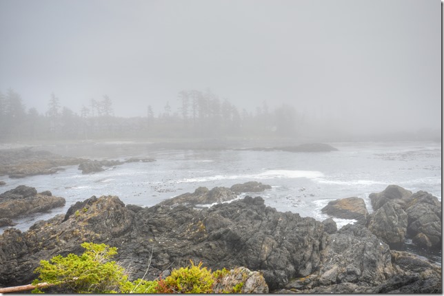 ocean,Ucluelet,hiking,nature
