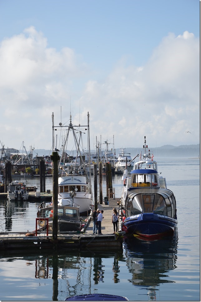 Jamie’s Whaling Station,Stellar Sea,Vargas Island,whale watching,sink,Tofino,ocean,ships,Pacific Rim