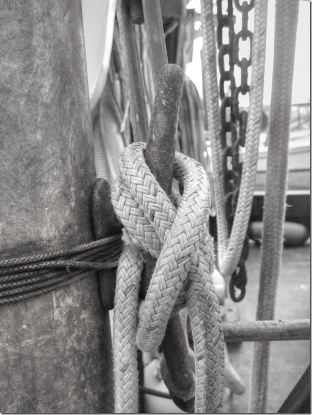 ships,rope,marina,fish boat