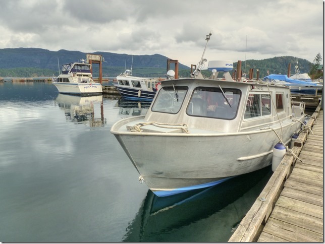 North Island,marina,ships,ocean,Highway 19,Browns Bay