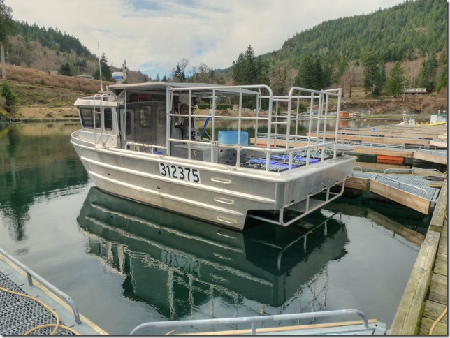 North Island,marina,ships,ocean,Highway 19,Browns Bay