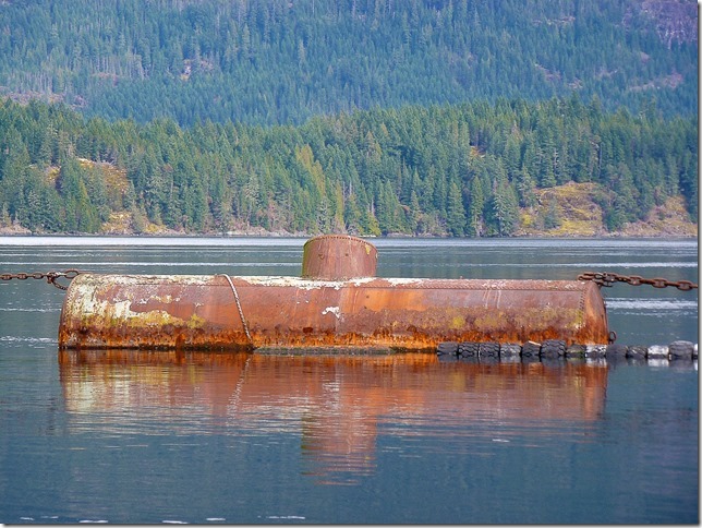 North Island,marina,ships,ocean,Highway 19,birds,nature