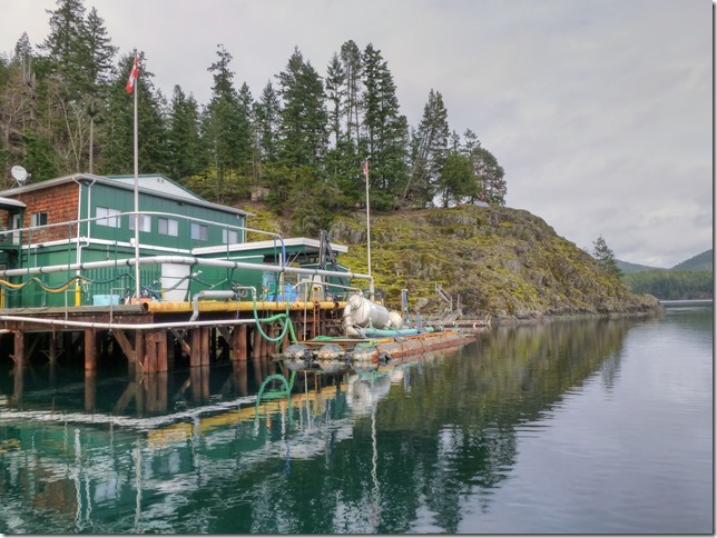 North Island,marina,ships,ocean,Highway 19,Browns Bay packing